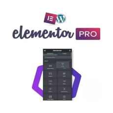 Elementor Pro - Construção De Site Fácil E Rápido