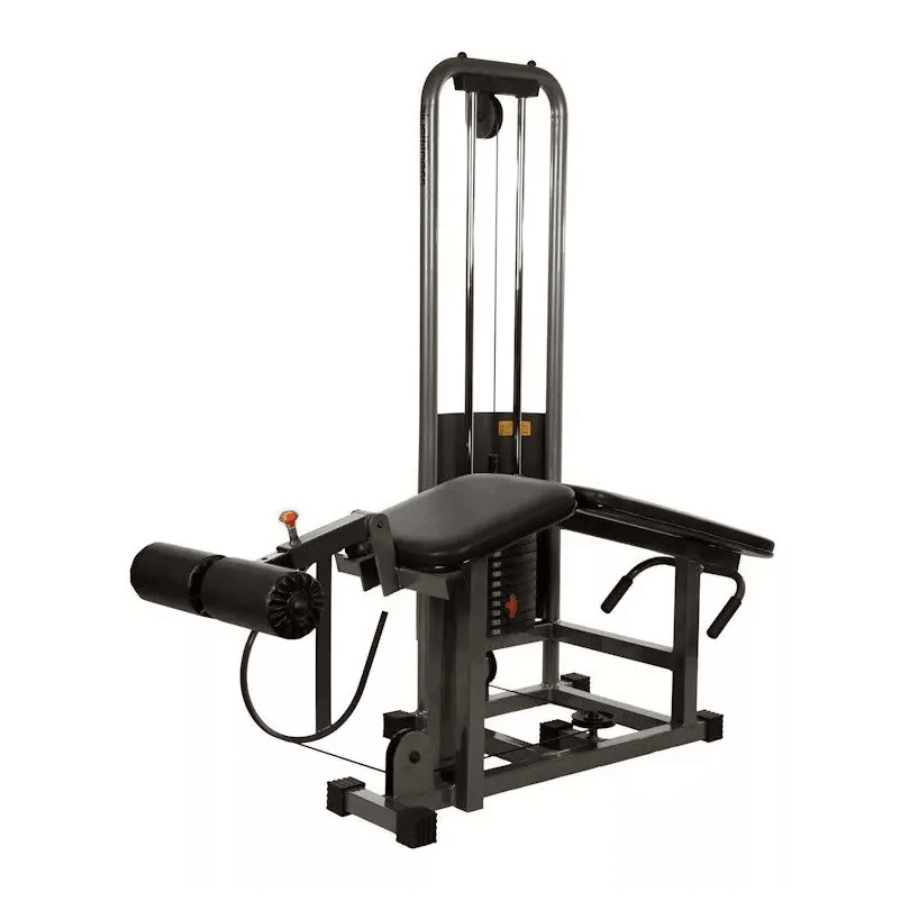 95 Projetos Fabricação Máquinas Academia Musculação Fabricar - Radali Shop